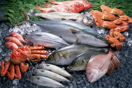 Oceaneeds-Provisions-Fresh-Fish